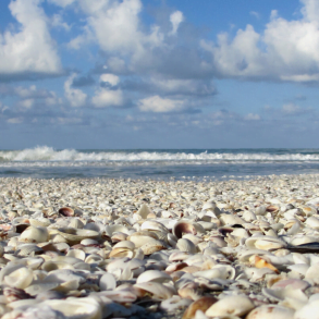 Minneapolis to Sanibel and Captiva