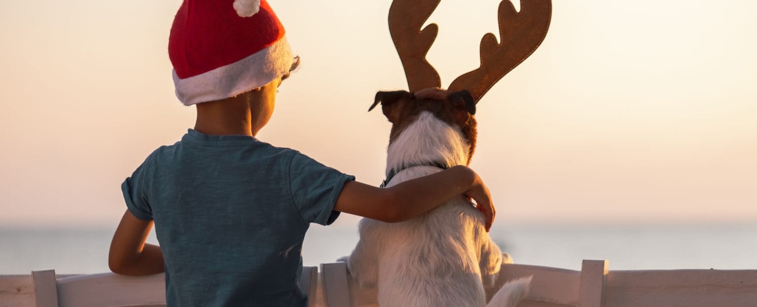 boy and his dog in Christmas hats