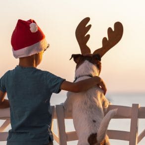 boy and his dog in Christmas hats