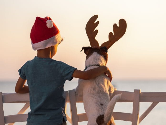 boy and his dog in Christmas hats