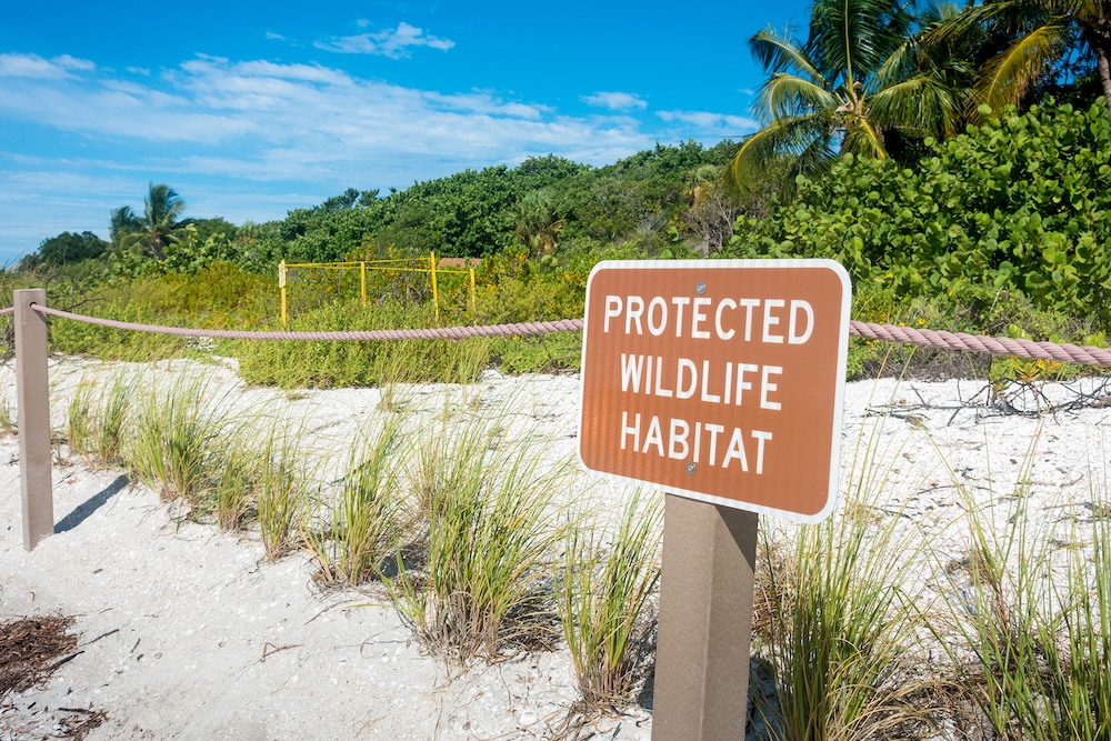 Sanibel Sea Turtle Protection area