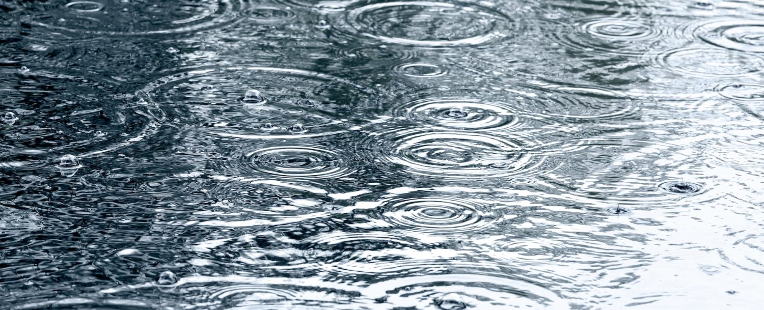 Rainy day water drops